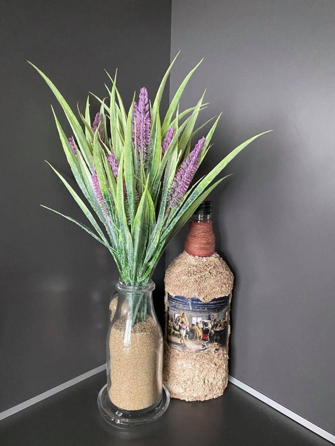 Studio Anastasia Sapareva Banya Dış mekan fotoğraf