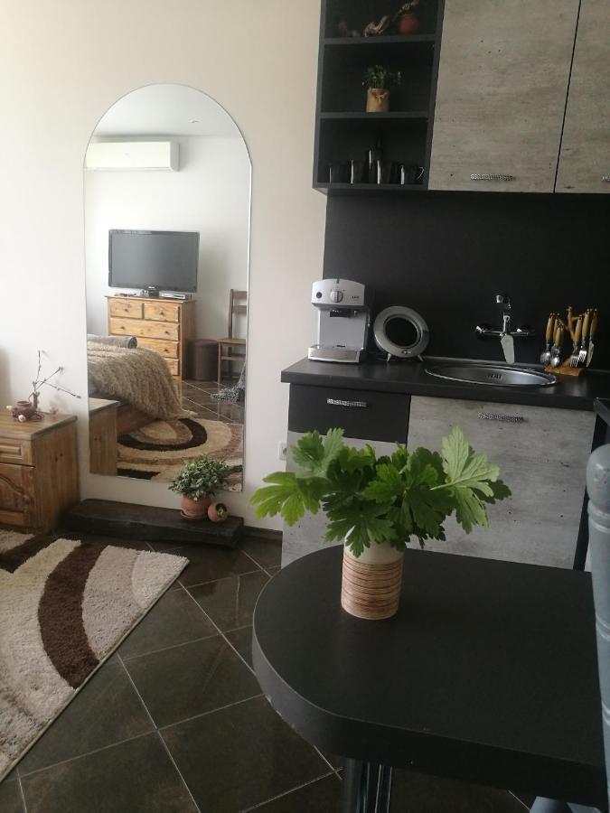 Studio Anastasia Sapareva Banya Dış mekan fotoğraf