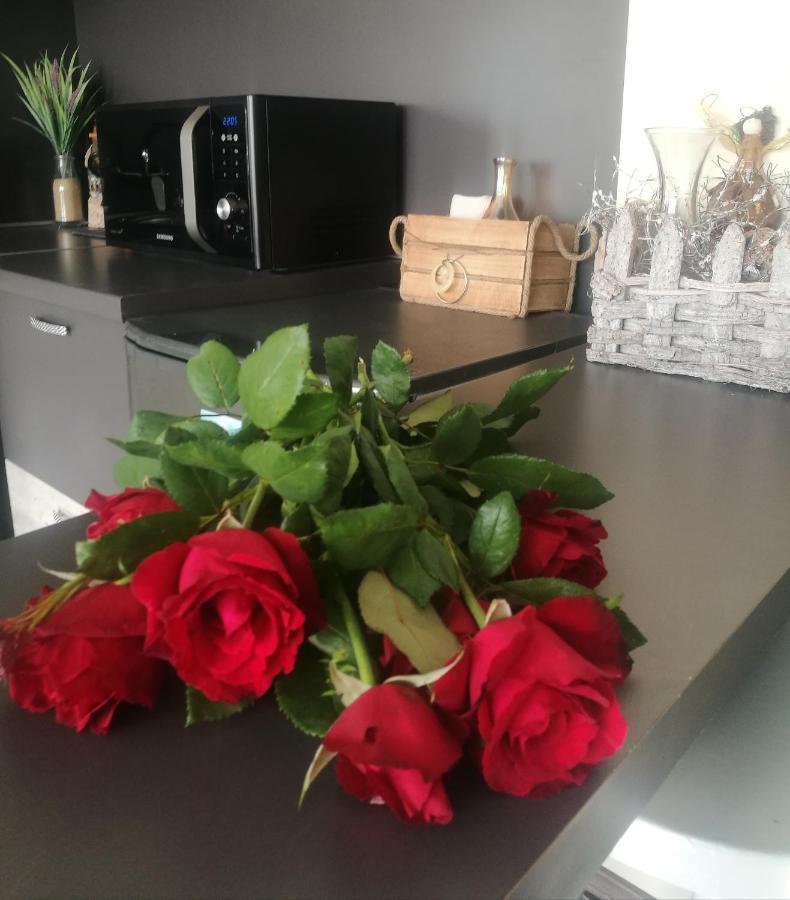 Studio Anastasia Sapareva Banya Dış mekan fotoğraf