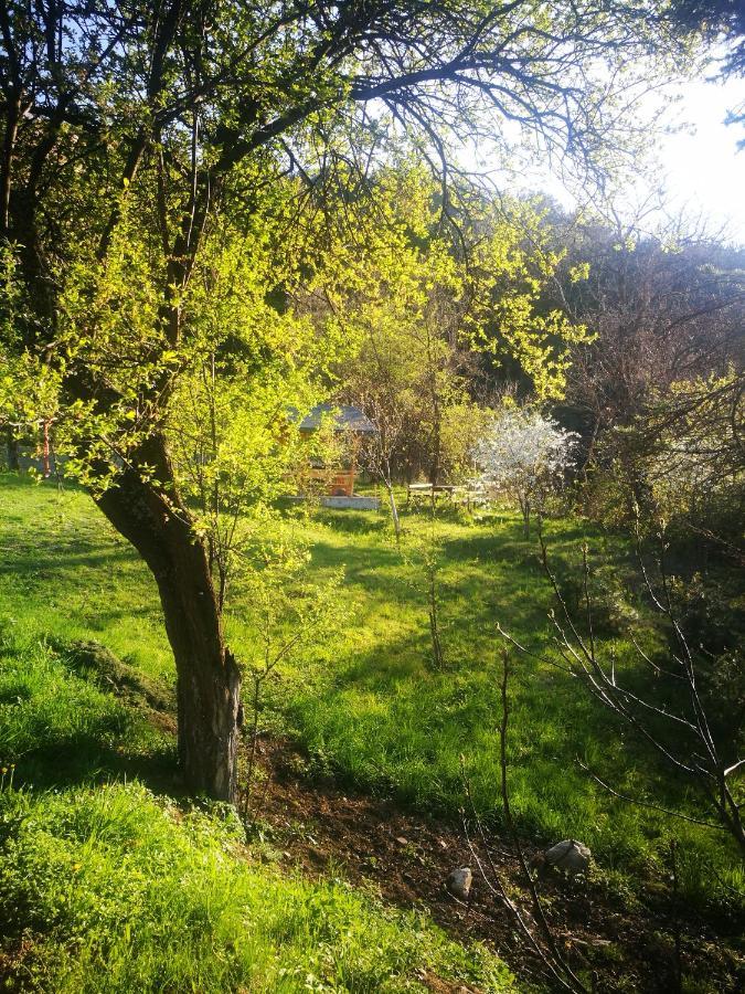 Studio Anastasia Sapareva Banya Dış mekan fotoğraf